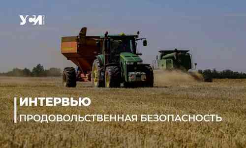 Урожай и посевная во время войны: интервью с аграрием из Одесской области «фото»