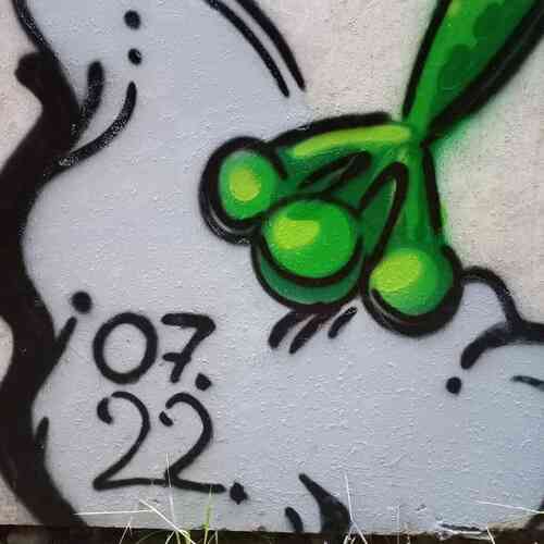 В Днепре девушка рисует влюбленных лягушек на стенах (Фото) - рис. 2
