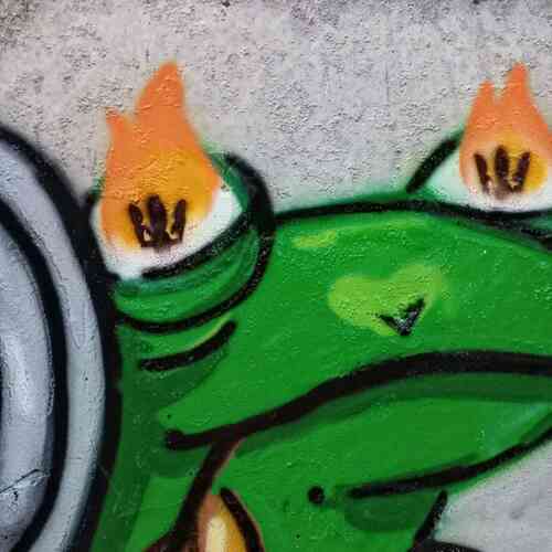 В Днепре девушка рисует влюбленных лягушек на стенах (Фото) - рис. 6