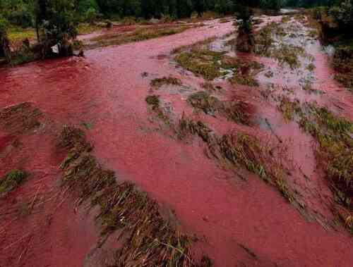 Небезпеки немає: міська влада Кривого Рогу пояснила, чому вода в Інгульці червоного кольору – рис.  2