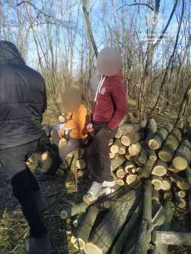 Inspektørene arrestert i skogbeltet i Kamianskyi "svart" tømmerhoggere