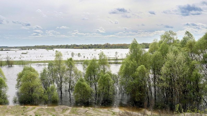 До критичного рівня заплави Десни залишається 50 см – дорогу на кордоні Сумської та Чернігівської областей залило водою
